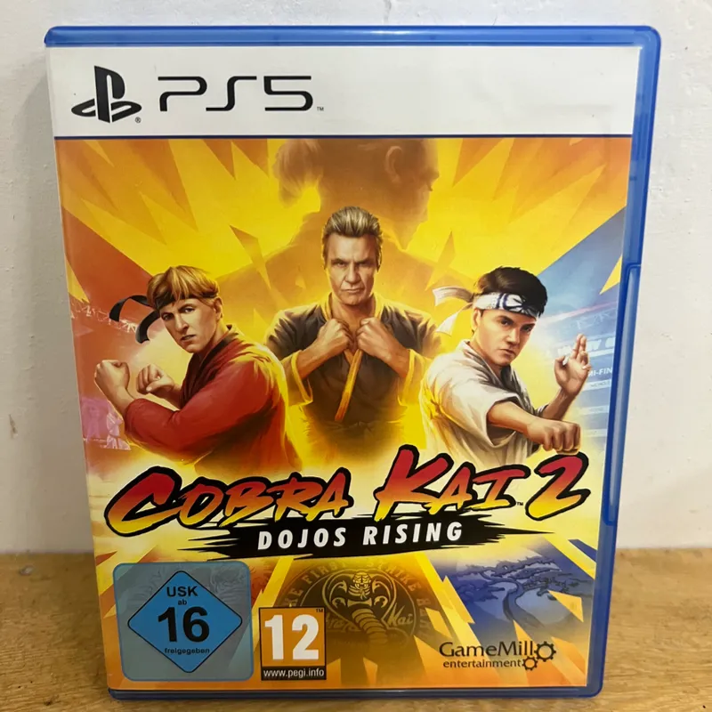 Cobra Kai 2 Dojos Rising