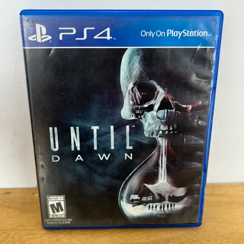 Until Dawn