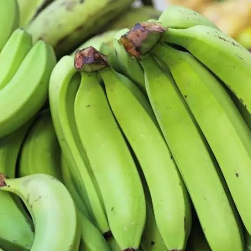 PLÁTANO 