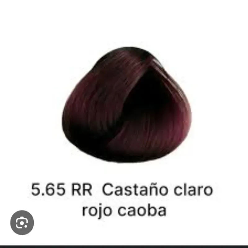 Castaño claro rojo caoba 5.65 RR