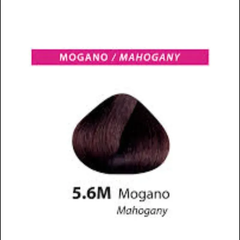 Mogano 5.6M