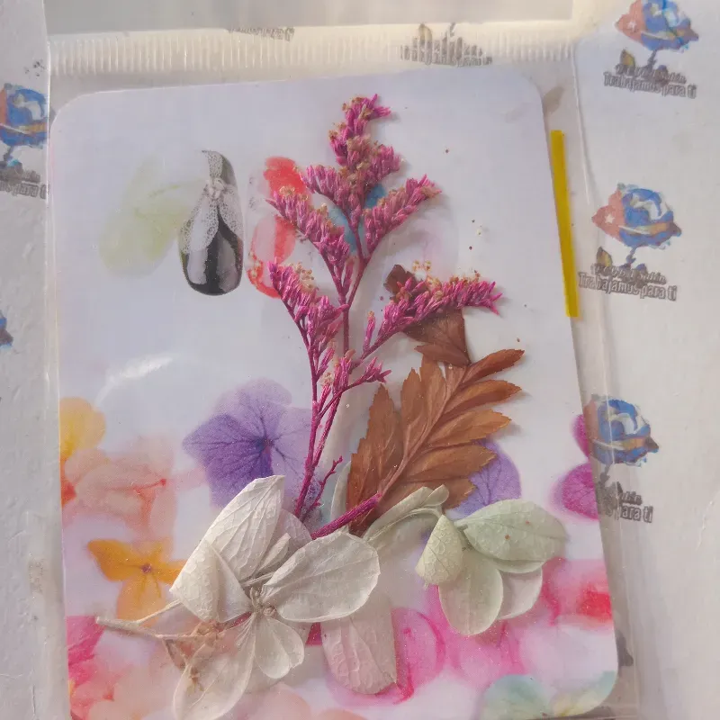 Naturaleza muerta 