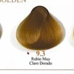 Rubio muy claro dorado 9.3