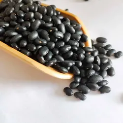 Frijol negro
