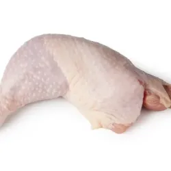 Pollo