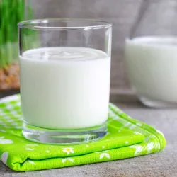 Yogurt Natural