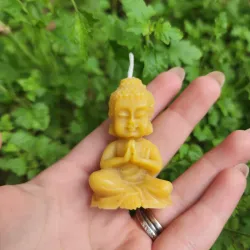 Vela aromatica buda