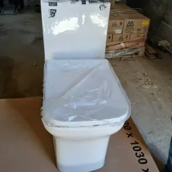 Inodoro D'Victoria (Briva)