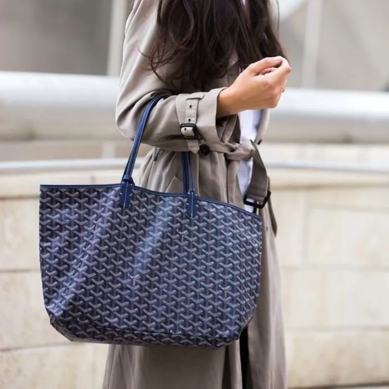 Goyard St. Louis 💙
