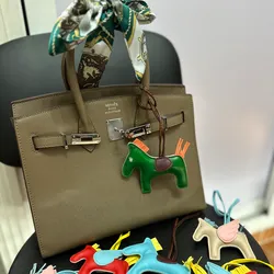 Hermès Birkin ✨