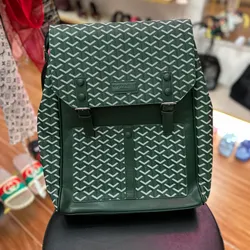 Mochila Goyard 💚
