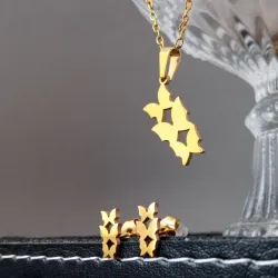 Set de Collar y Aretes 🦋🦋🦋