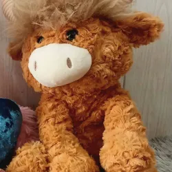 Peluche 