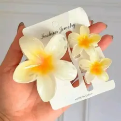 Set de pellizco 