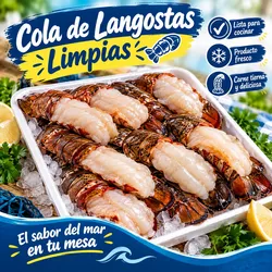 Langosta (colas limpias)
