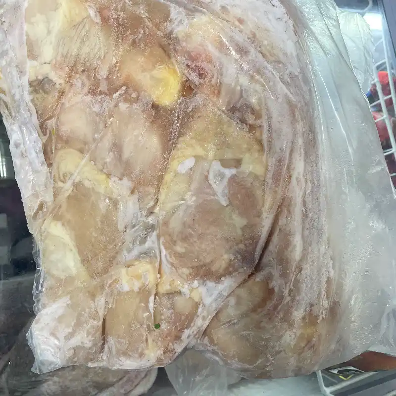 Pollo