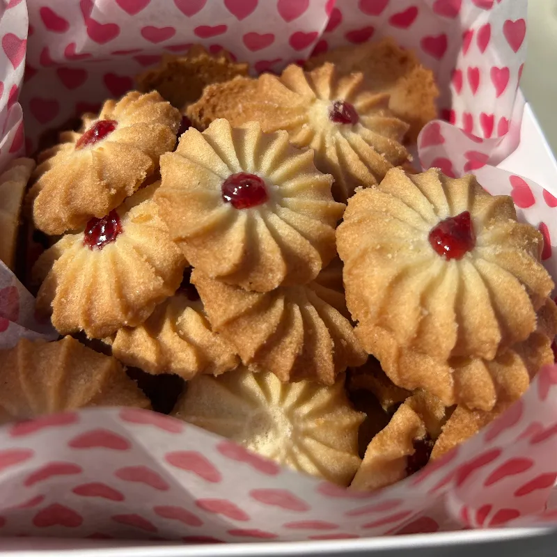 Pack de 24 Pastisetas