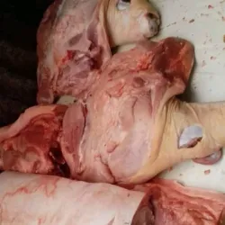 Pierna de Cerdo 