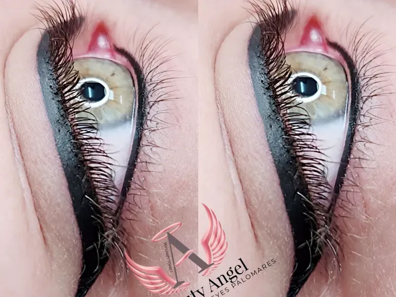 DELINEADOS PERMANENTES DE OJOS.