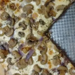 Selecta🫒🍄‍🟫