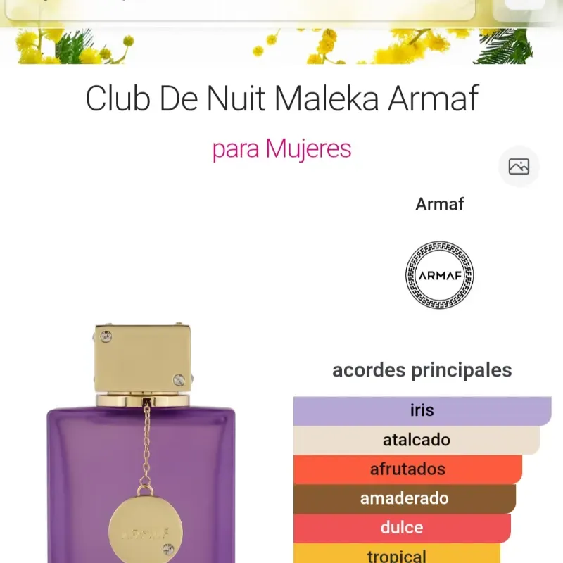 Club De Nuit Maleka