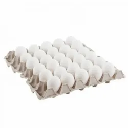CARTON DE HUEVOS