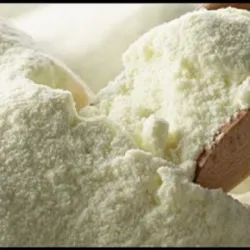 LECHE EN POLVO