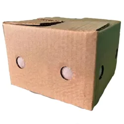 Caja de helado