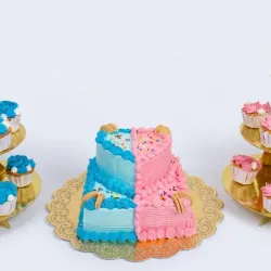 Combo gender reveal 💙💗