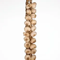Ristra de ajo