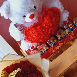 GIGANTES CON PELUCHES 