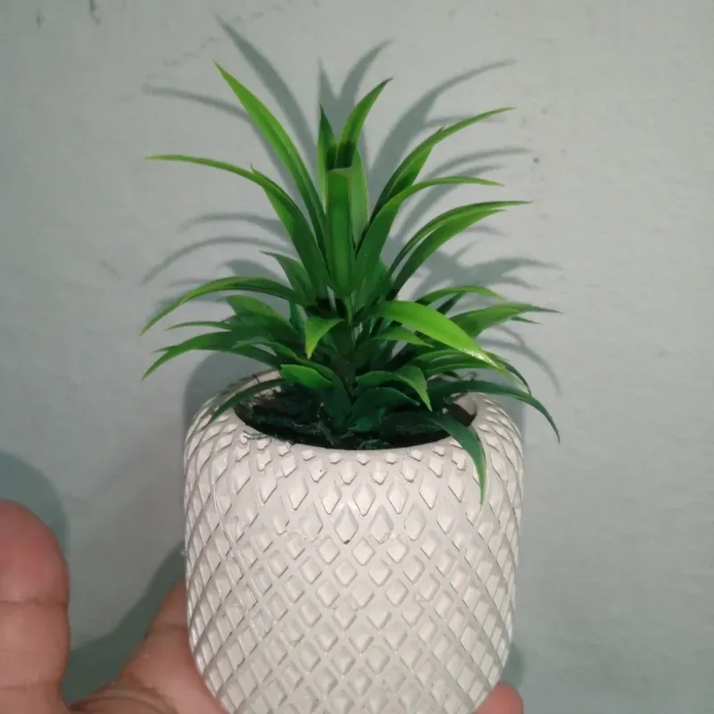 Búcaro calado con planta 