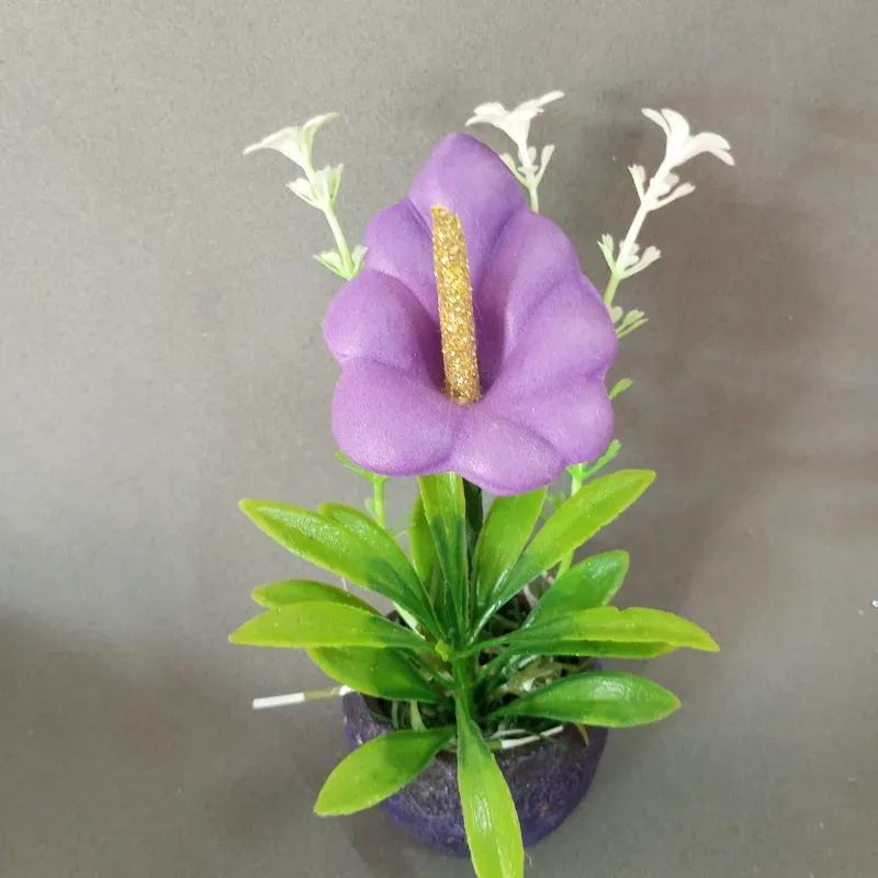Búcaro con Alcatraz Violeta