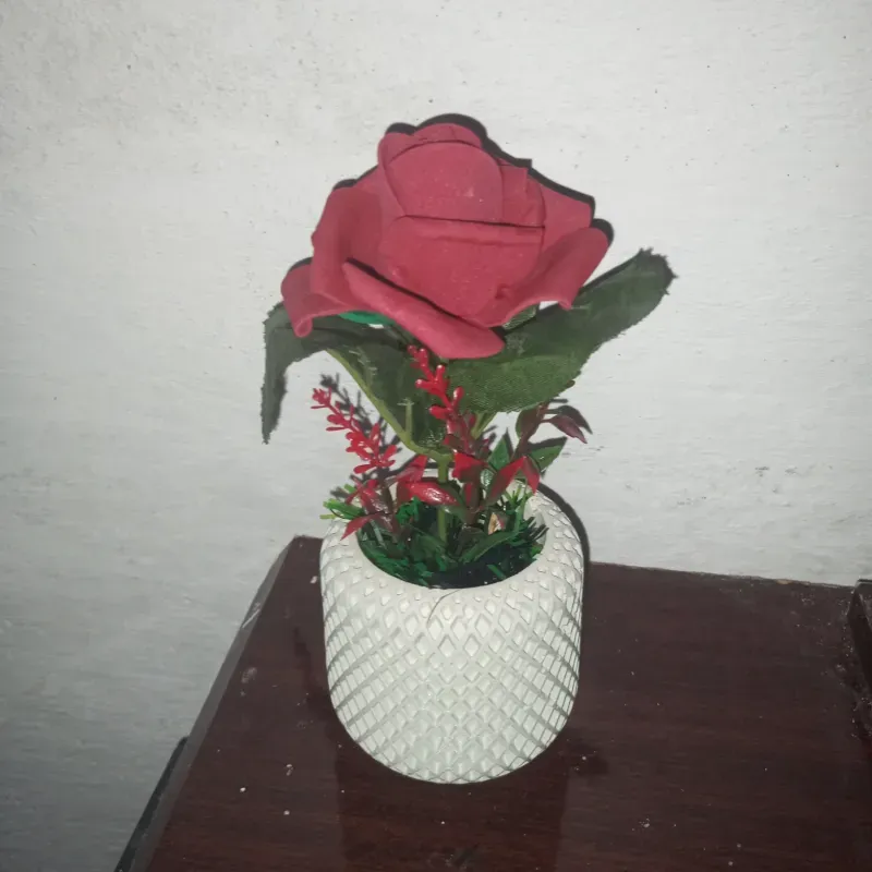 Búcaro con rosa roja 