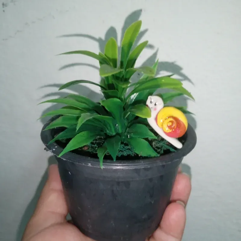 Búcaro plástico con caracol 