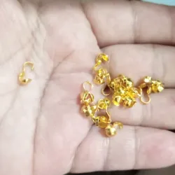Tapanudos dorados