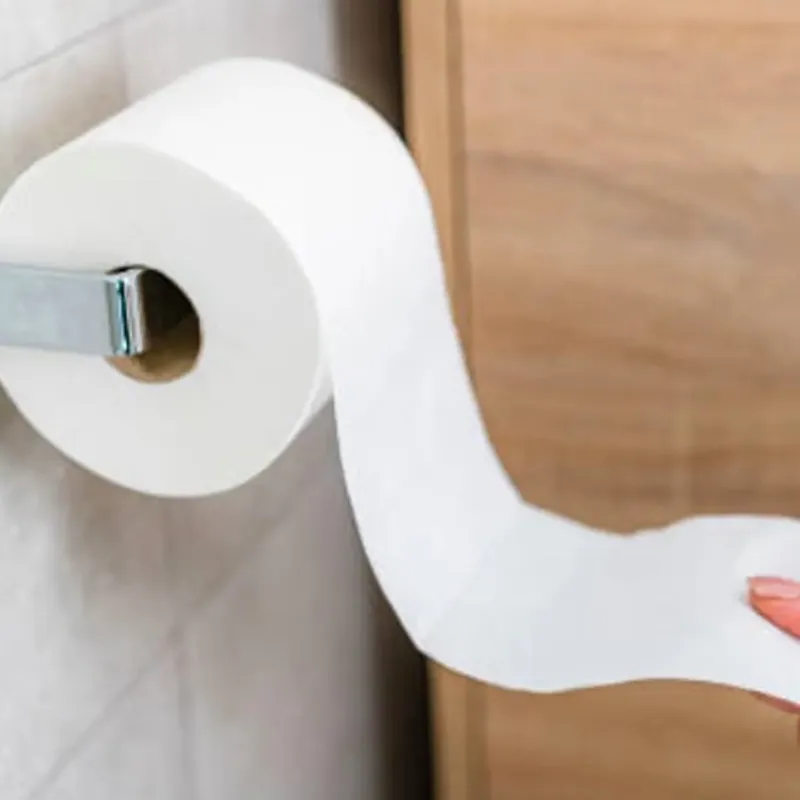 Paca Papel Higiénico/10rollos