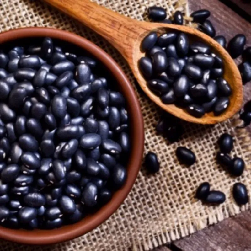 Frijol negro 