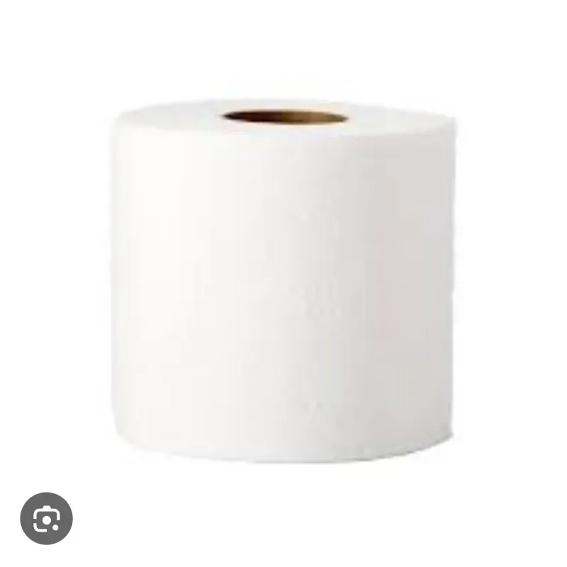 Papel sanitario el rollo