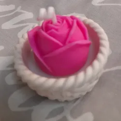Rosa en Cestico