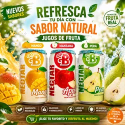 Cajas de Néctares de Frutas Enlatados