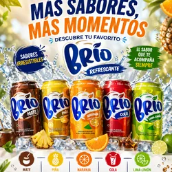 Caja de Refrescos Enlatados Importados : Brío