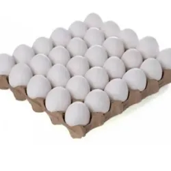 🍚 Cartón de Huevos