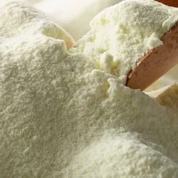 Leche en Polvo