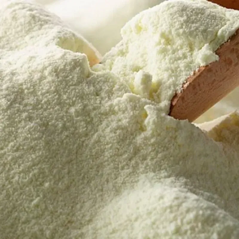 Leche en Polvo