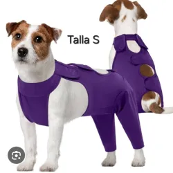 Enterizo morado