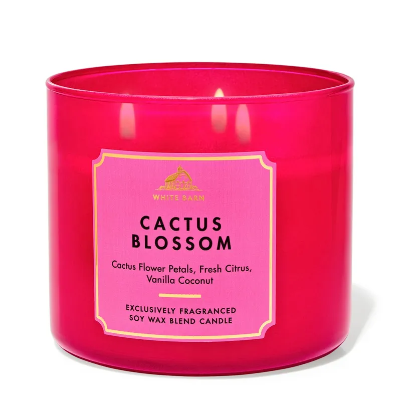 Cactus Blossom