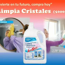 Limpia Cristales.5000ml