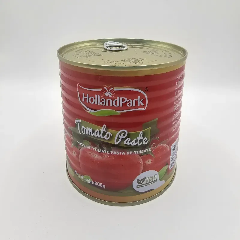 Pasta de Tomate 800g 