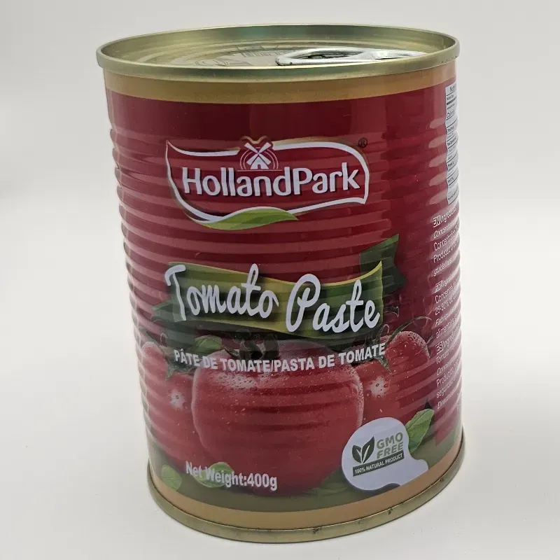Pasta dr tomate 400g